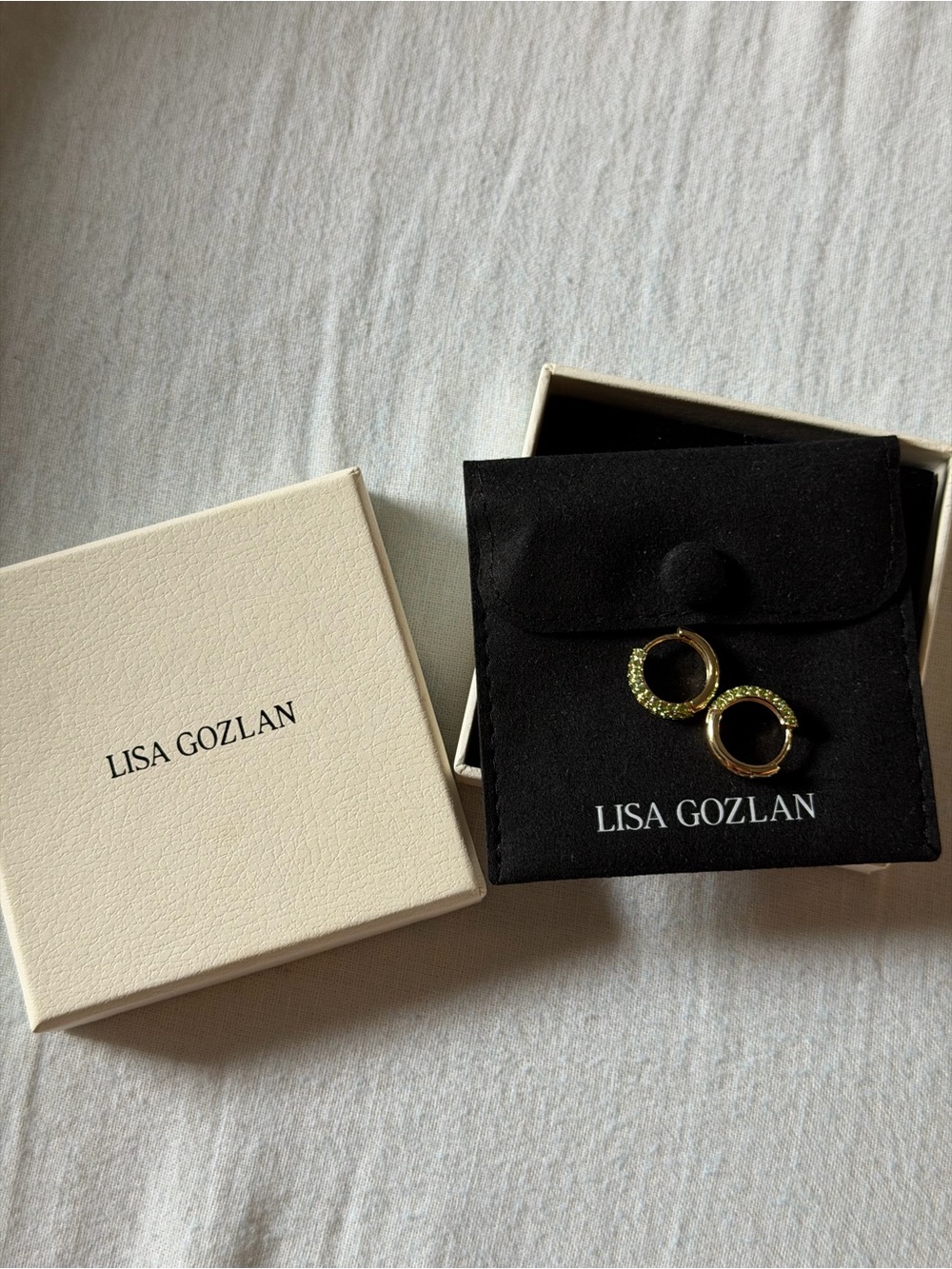 Lisa Gozlan Gold Pavé Hoop Earrings